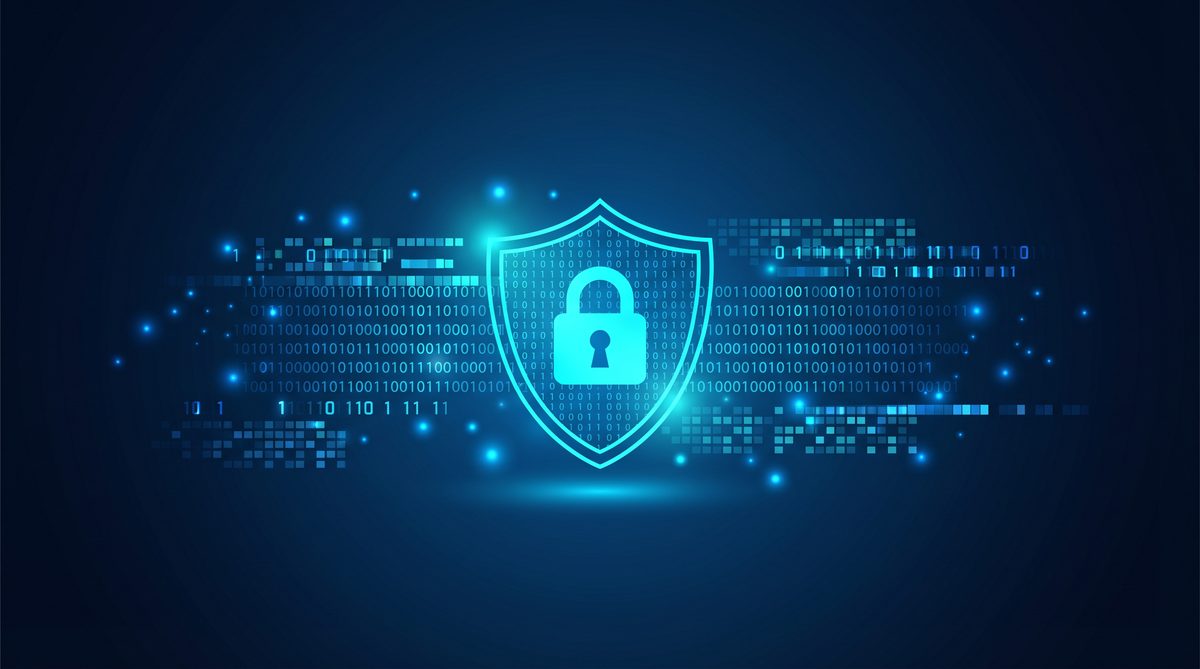 树懒加速器隐私安全保护